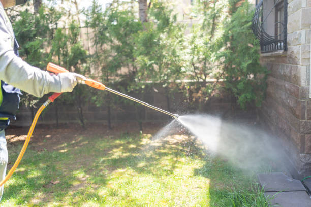 Pest Prevention Services in Mountain Village, CO