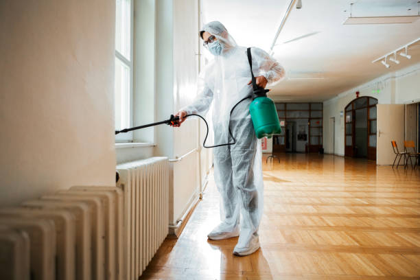 Best Residential Pest Control  in Mountain Village, CO